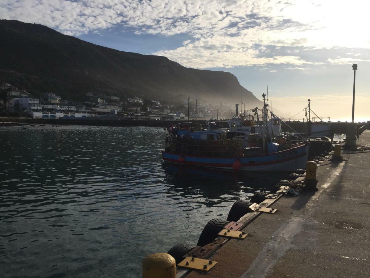 The Bauhaus Kalk Bay Holiday home